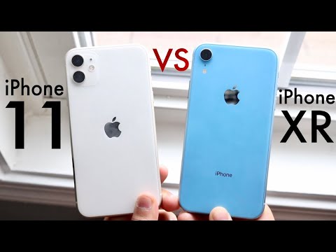 iPhone 11 Vs iPhone XR! (Comparison) (Review) - YouTube