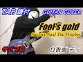 [TAB譜付] Survive Said The Prophet / Fool's gold [GUITAR COVER] (弾いてみた)