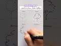 آموزش درخت در معماری معماری   اسکیس طراحی