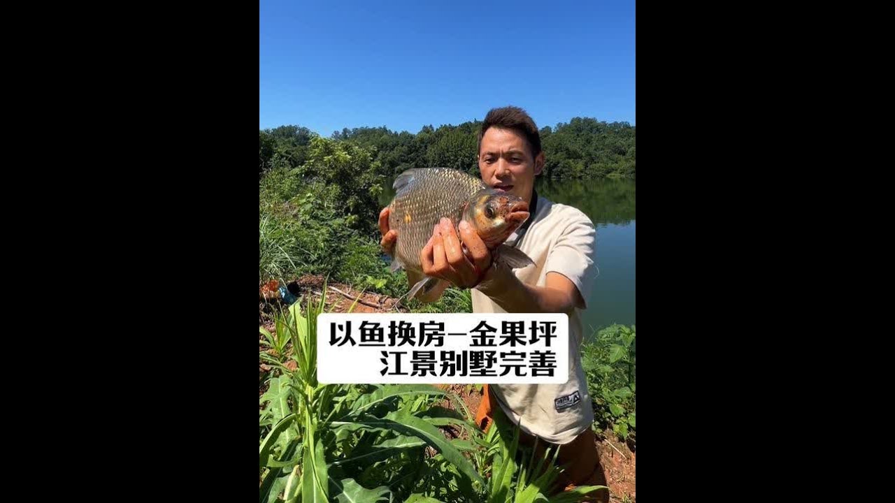 以鱼换房艰难进行,打龟十天终破龟!#dou是钓鱼人 #原来钓鱼才是抖音运动顶流 #2025dou来钓鱼 - YouTube