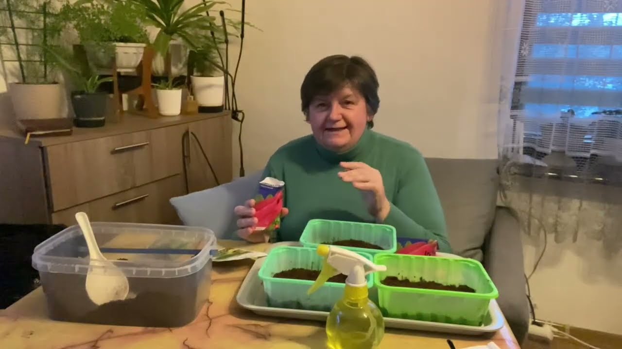 Одне вже росте.., інше досіваю... // ПЕРШІ ЗЕЛЕНІ РОСЛИНКИ 