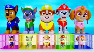 PAW Patrol Choose The Right Door And Win Game Mighty Pups Ultimate Rescue Max Level LONG LEGS