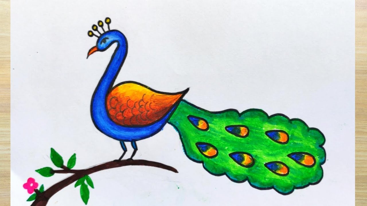 How to Draw a Peacock - Art by Ro