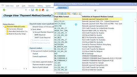 SAP FICO DMEE Configration Part 1