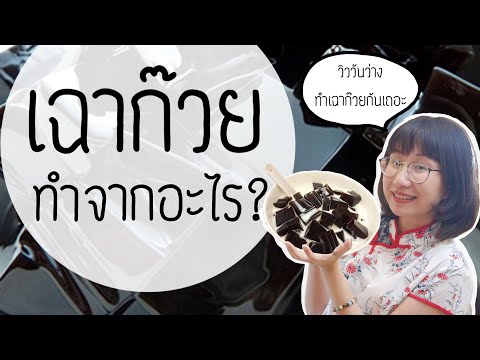 เฉาก๊วยมาจากไหน ทำมาจากอะไร ทำไมสีดำ #วิววันว่าง ep.5 แจกสูตรเฉาก๊วย | Point of View