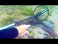Metal Detecting UNDERWATER Expensive Jewelry Found What's Stuck BETWEEN the ROCKS?? Turtle Rescued