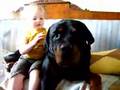 My Rottweiler and my son Edvin attacked...!!.........With kisses :-)