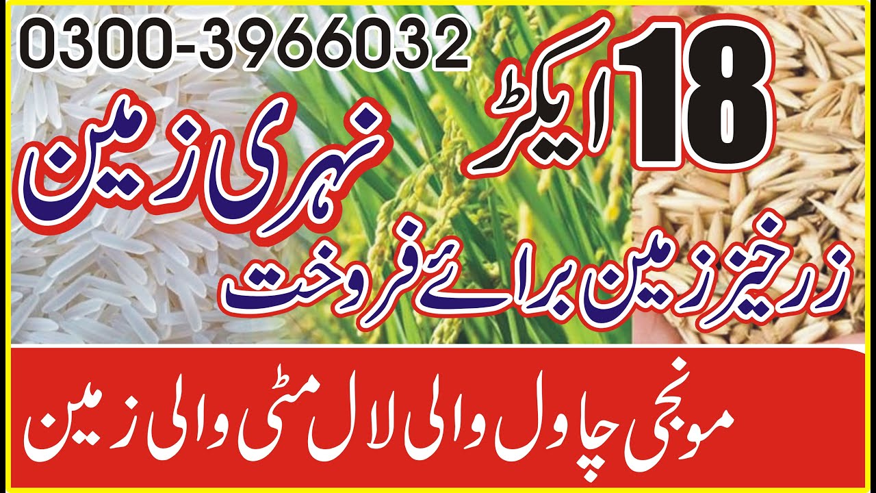 Agriculture Land For sale Land For Sale zameen cheap for sale in Noor