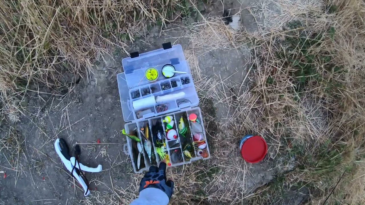 The jig works on BIG BASS and little bass