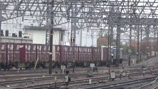 JR貨物 EF210-141号機（吹田）＋無動力EF210-140号機（吹田）＋コキ21両　貨物列車2073レ 2020.01.07