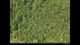 Century 21 Cumberland Realty - 32 E John Burch Rd