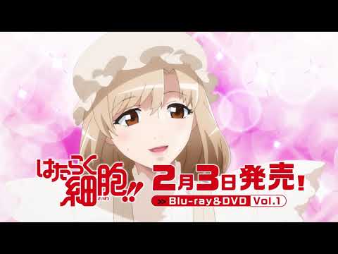 「はたらく細胞!!」Blu-ray&DVD 2月3日発売!