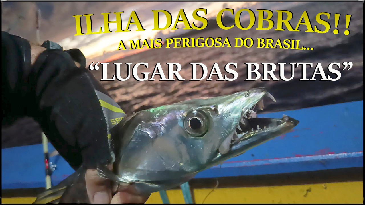 ILHA DAS COBRAS!! A MAIS PERIGOSA DO BRASIL - 