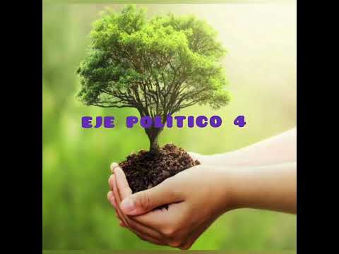 LOS 4 EJES DE POLITICA AMBIENTAL - UAC 2022 hqdefault