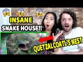 FIRST Time Reacting to MEXICO CITY SNAKE HOUSE (Quetzalcoatl&#39;s Nest)