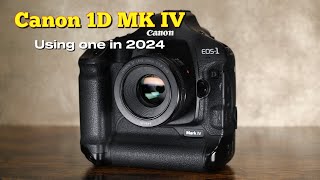 Canon 1D MK IV in 2024