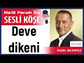 Fatih altayl deve dikeni  090524 halil ferah ile sesli ke