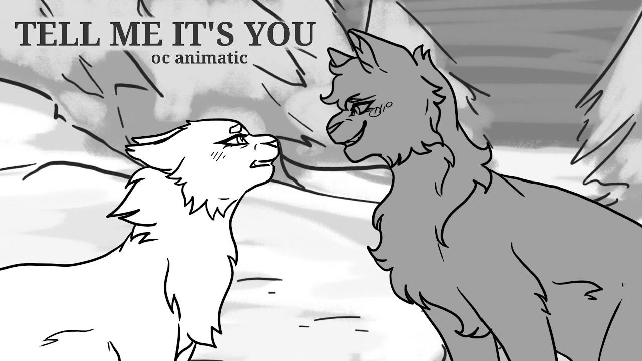 Tell me it's you- warrior cats oc animatic - YouTube