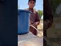 Amazing survival video jungle #survival #viralvideo #jungle #shorts