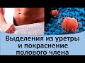 Выделения из уретры и покраснение полового члена