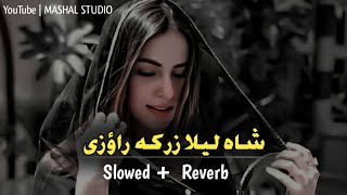 Sha Laila Zarka Raoze Da Khyali Kameez Ye Tang Dai | Slowed+Reverb | Pashto New Mast Song Resimi