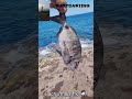 #fishing #الجيلي #crochet #fish #البخل #carpfishing #التغطيه #اكسبلور #troutfishing ❤️🎣🐬😍🐬🎣❤️
