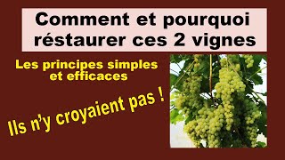 Comment et pourquoi réstaurer ces 2 vignes, ils ne veulent pas y croire !