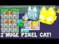 Insane Trade For 2 Huge Pixel Cat! Full Team Of Dark Matter Pixel Demon - Pet Simulator X Roblox