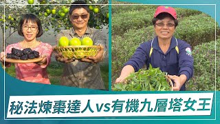 草地狀元-祕法煉棗達人VS有雞九層塔女王(2022.12.05播出)