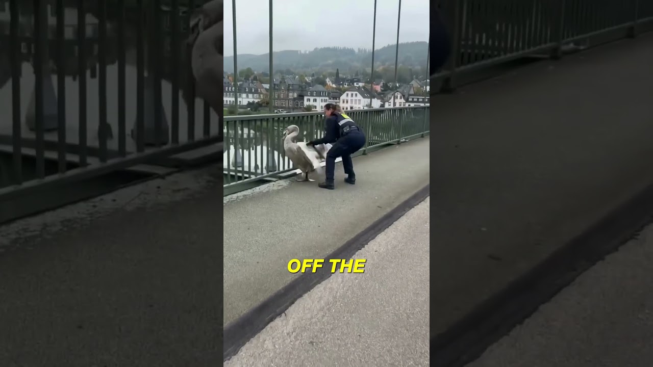 Этот полицейский задержал очень опасного подозреваемого 😂 