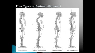 Video Lecture Intro to Posture