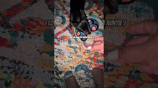 new toy alert. #aldi #puppy #chorkie #chihuahuafanclub #cute