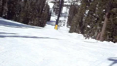 Kirkwood Sandra