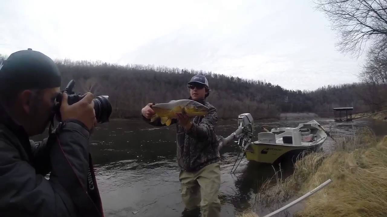 Fly Fishing the White River, AR YouTube