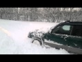 Subaru Forester vs Первый снег (Камчатка)