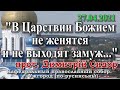 "В Царствии Божием не женятся и не выходят замуж..." 27.04.2021, прот. Димитрий Сидор