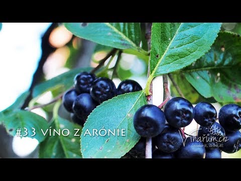 Video: Recept Na Domáce Víno Z Arónie