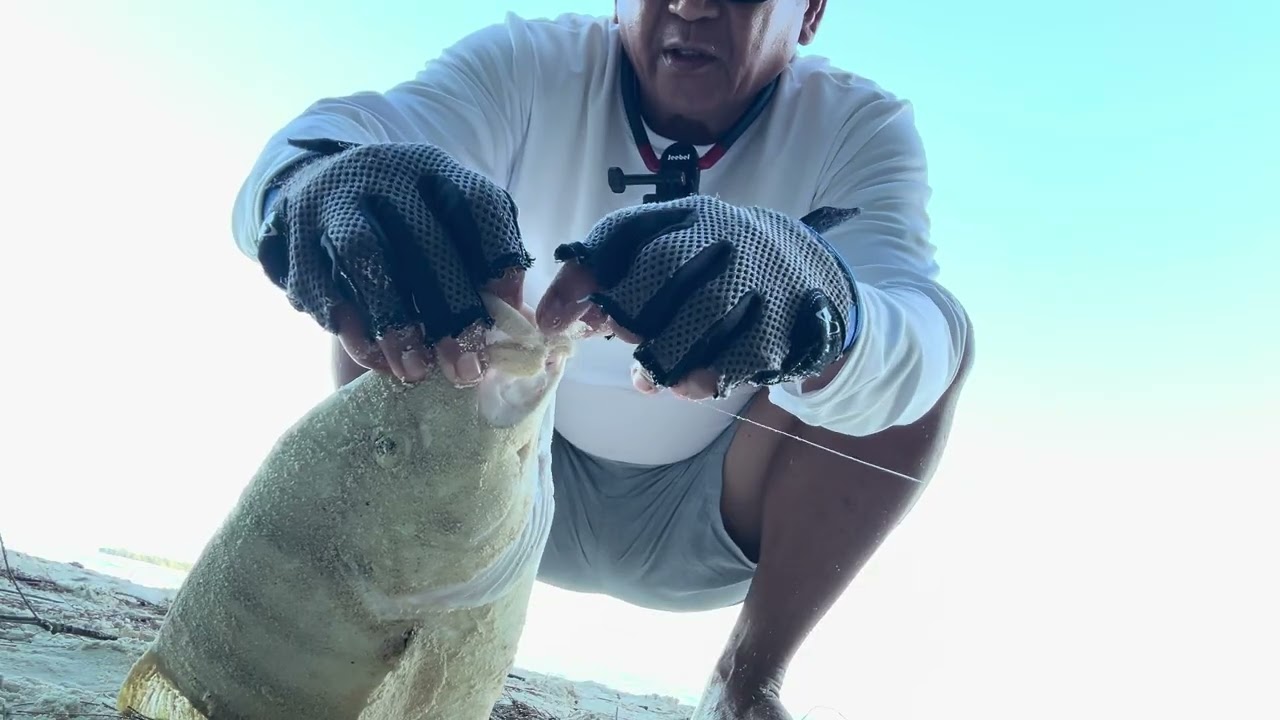 Мой первый улов каранкса в 2026 году на второй день рыбалки!