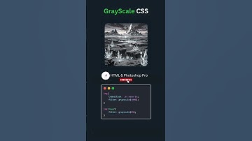 Grayscale Property In CSS #shortsvideo #html_css #viralshort #shorts #short #viralvideo