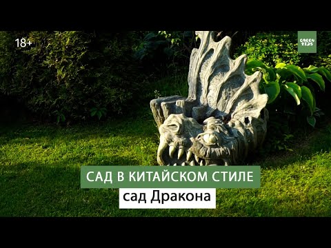 Сад Дракона в китайском стиле. Обзор сада 2021