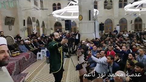 قصيدة انت قمرنا انت سيدنا يارسول الله المنشد محمد برنية من حماة عدسة محمد نور ناعم