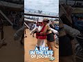 2023july18 carnival cruise  panorama day in life of j00w33 ellieelephant the towel animal mascot