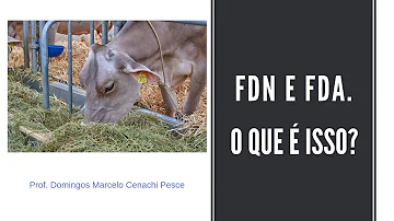 Para que serve FDN e FDA?