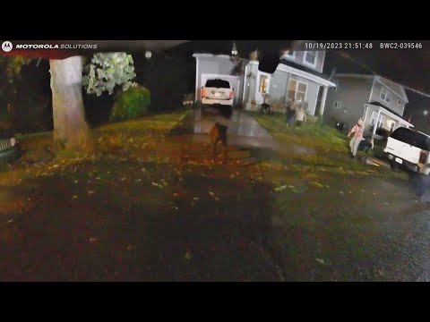 BODYCAM VIDEO: Canton police officer fatally shoots dog while responding to domestic dispute