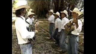 Programa Viola Minha Viola na Festa do Peão de Barretos 1995 | Caipira de Clementina