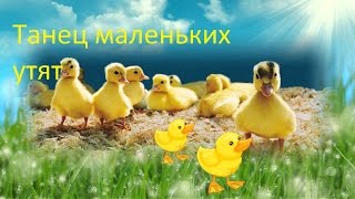 Танец маленьких утят. Песня танец маленьких утят.(Танец маленьких утят. Текст песни танец маленьких утят. На шагающих утят быть похожими хотят, Быть похожими..., 2016-06-04T09:12:20.000Z)