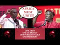 Africa Must Unite NOW! One Army, One Currency, One Foreign Policy: PLO Lumumba