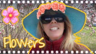 Flowers Idioms 💐🌻🌸 | Learn English | Modismos de flores | Aprende inglés | Vlogging #21