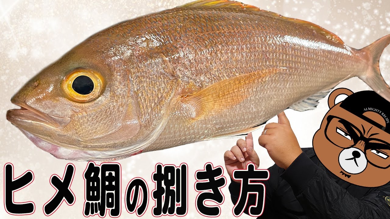 魚の捌き方】姫鯛の簡単な捌き方(解説・刺身・実食あり) - YouTube