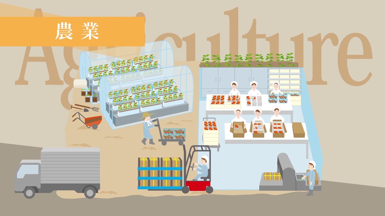 甲賀高分子株式会社 製品使用シーンのご紹介(小売・製造・農業) YouTube 甲賀高分子株式会社 製品使用シーンのご紹介(小売・製造・農業) YouTube